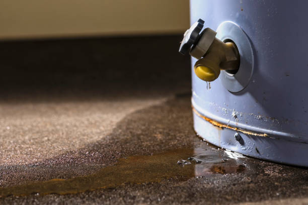 Best Flooded house restoration  in Yeadon, PA