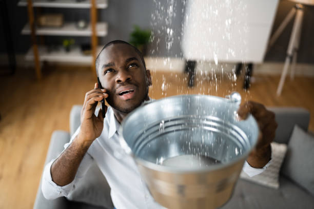 Best Water damage cleanup near me  in Yeadon, PA