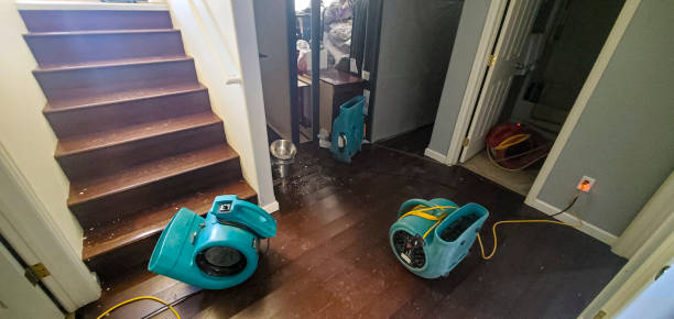 Best Local water damage restoration  in Yeadon, PA
