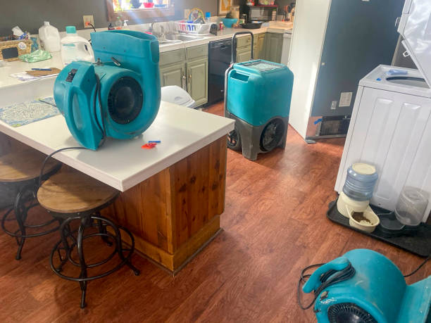Best Carpet water damage restoration  in Yeadon, PA