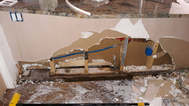 Best Carpet water damage restoration  in Yeadon, PA