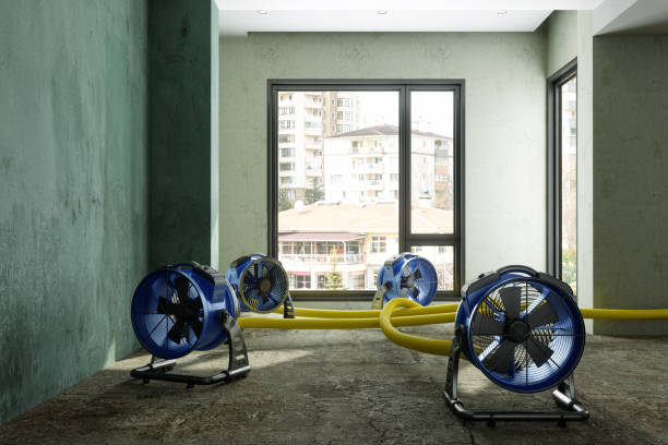 Best Flood restoration services  in Yeadon, PA